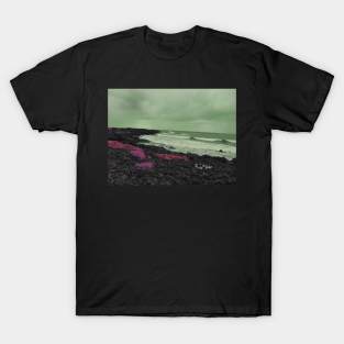 Hawaii Coast T-Shirt